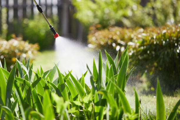 24/7 Emergency Mosquito Control experts in Loogootee, IN