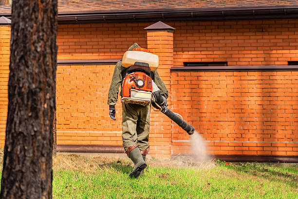 Top rated local Mosquito Control specialists in Loogootee, IN